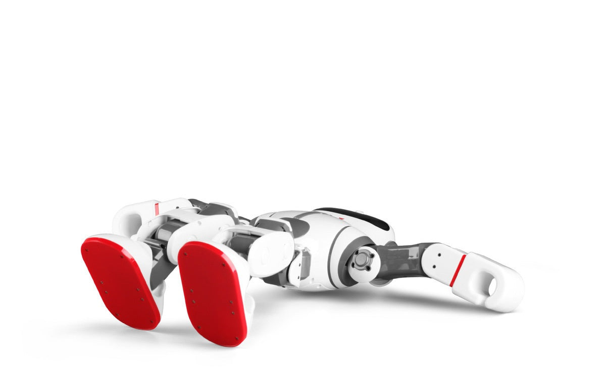 DOBI | Robot intelligent de divertissement à commande vocale